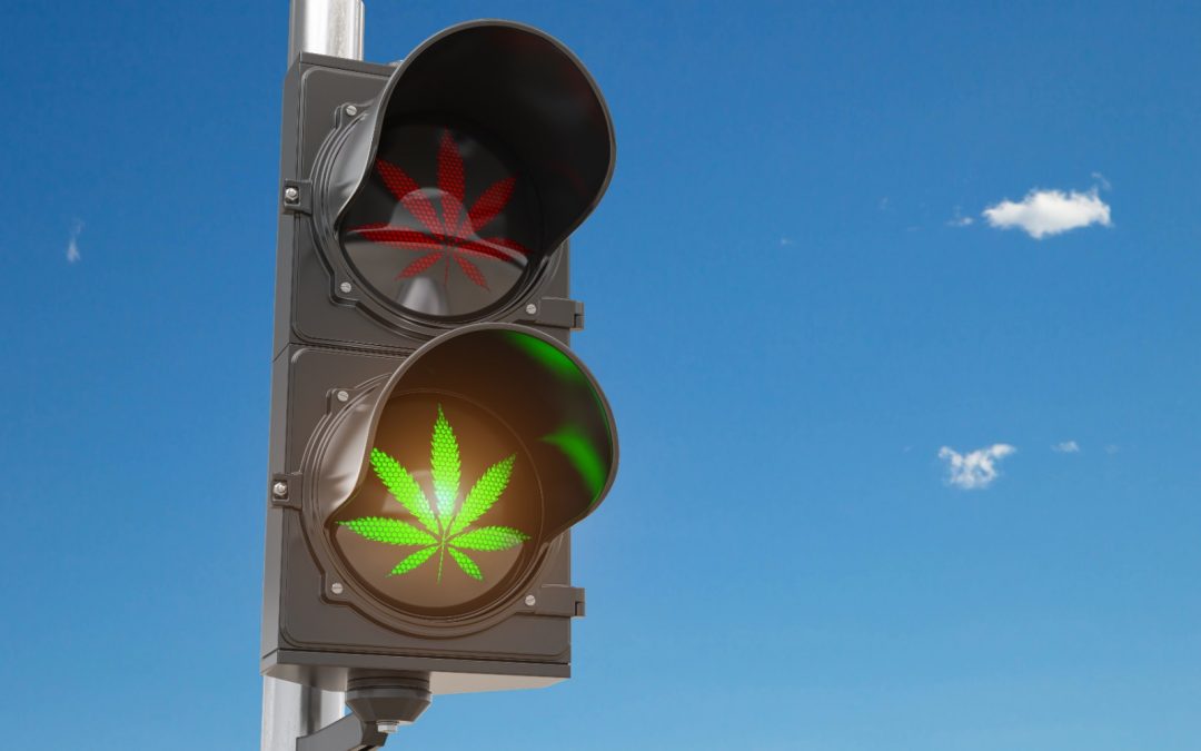 Legalization or trivialization?                                Recreational use of cannabis products in Germany